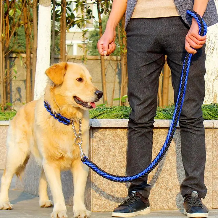 Heavy-Duty Double Strand Rope Leash & P Chain Collar Set