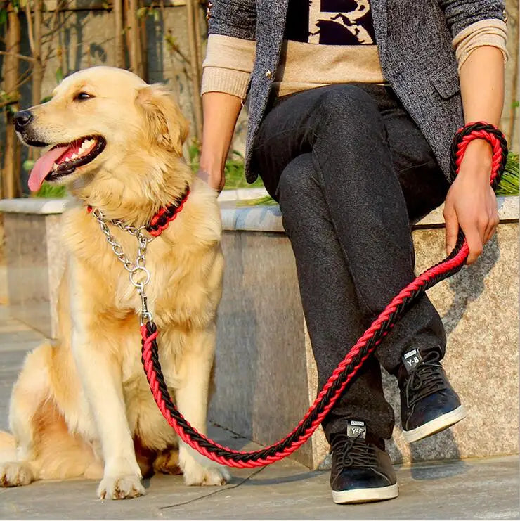 Heavy-Duty Double Strand Rope Leash & P Chain Collar Set