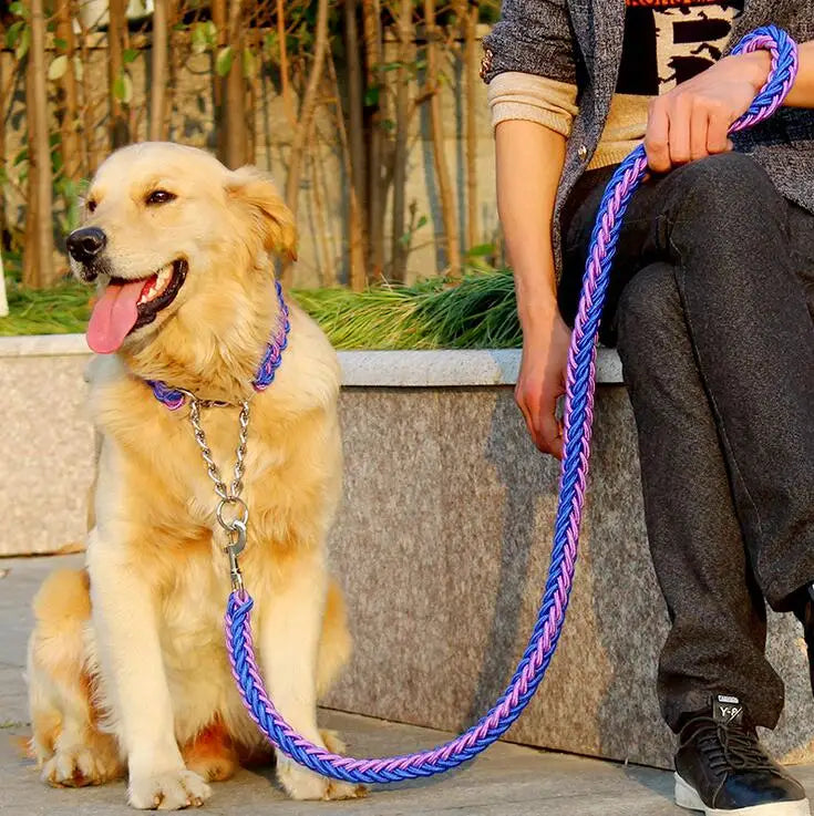 Heavy-Duty Double Strand Rope Leash & P Chain Collar Set
