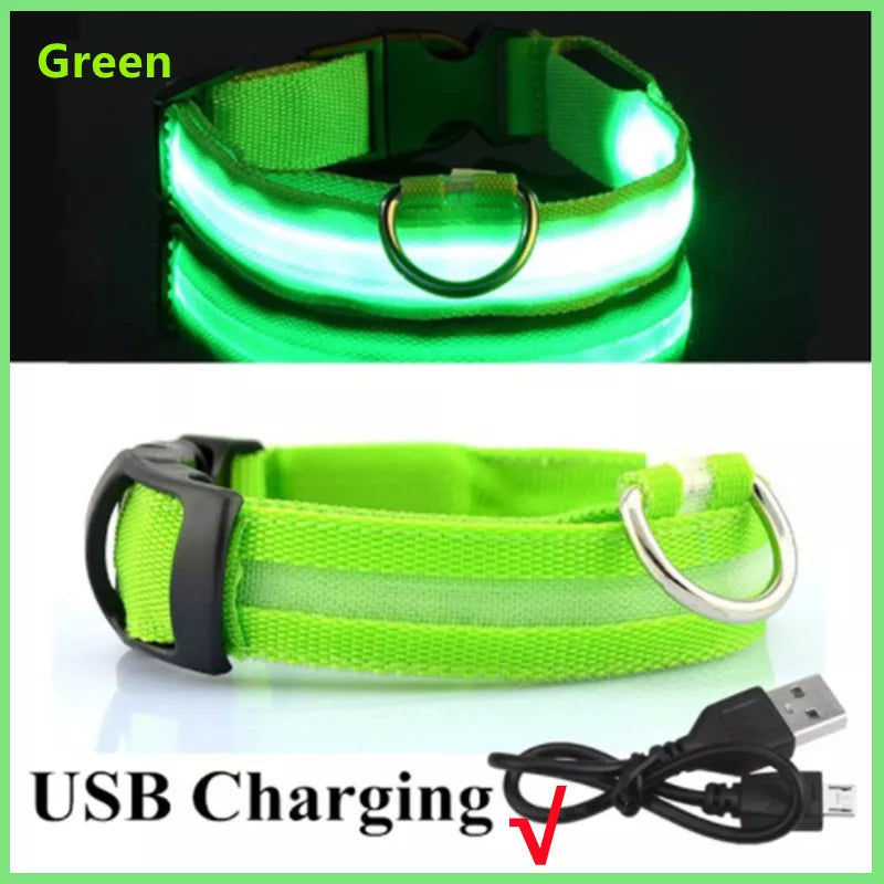 USB Rechargeable LED Dog Collar — Night Safety Glow