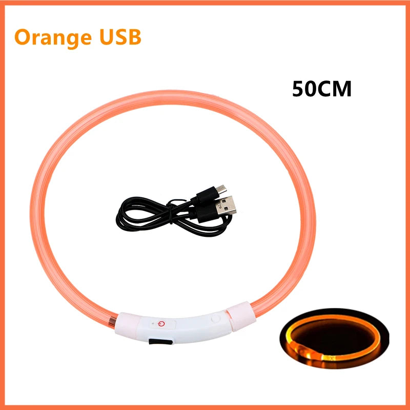 USB Rechargeable LED Dog Collar — Night Safety Glow