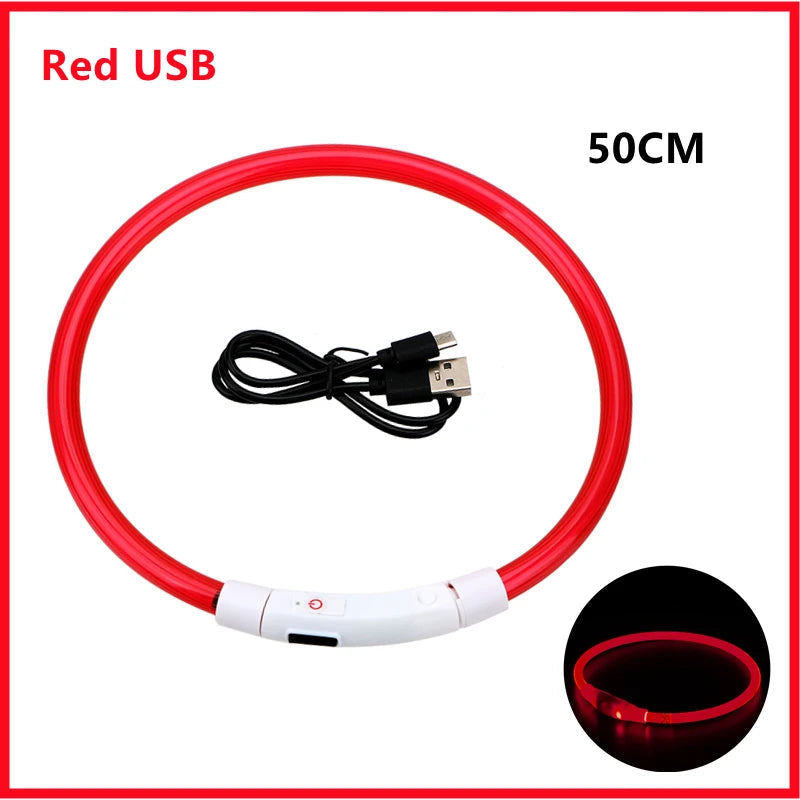 USB Rechargeable LED Dog Collar — Night Safety Glow