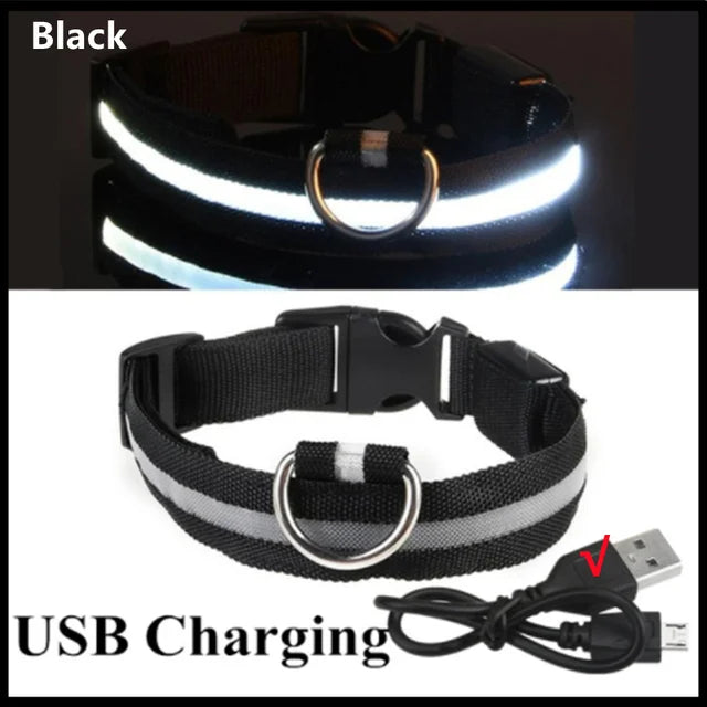 USB Rechargeable LED Dog Collar — Night Safety Glow