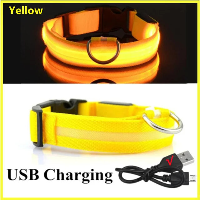 USB Rechargeable LED Dog Collar — Night Safety Glow