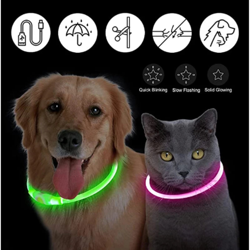USB Rechargeable LED Dog Collar — Night Safety Glow