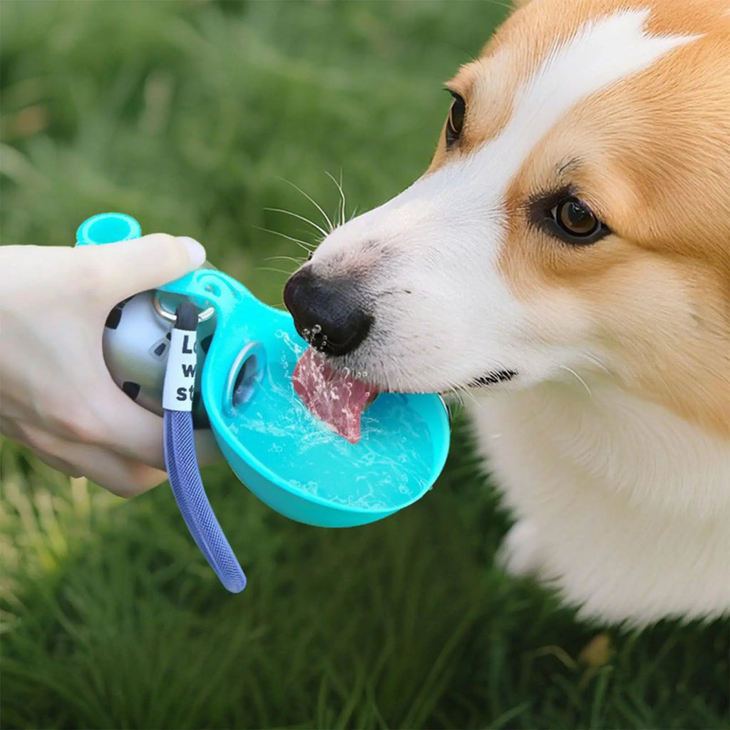 HydroPaws™ Portable Dog 🐶💧Water Bottle with Foldable Drinking Bowl | Leak-Proof Travel Water Dispenser for Dogs