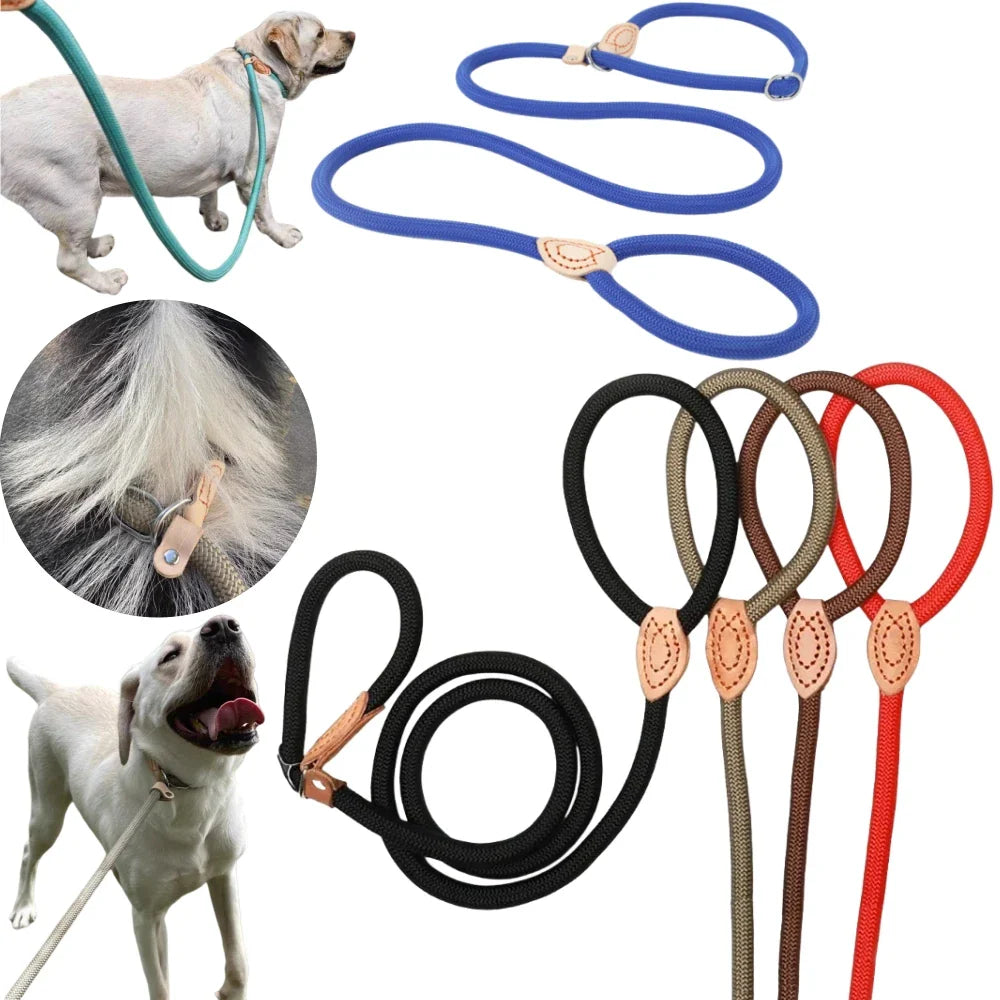 WizePet Heavy Duty Braided Slip Rope Dog Leash | Adjustable Training Lead & Collar for Medium & Large Dogs
