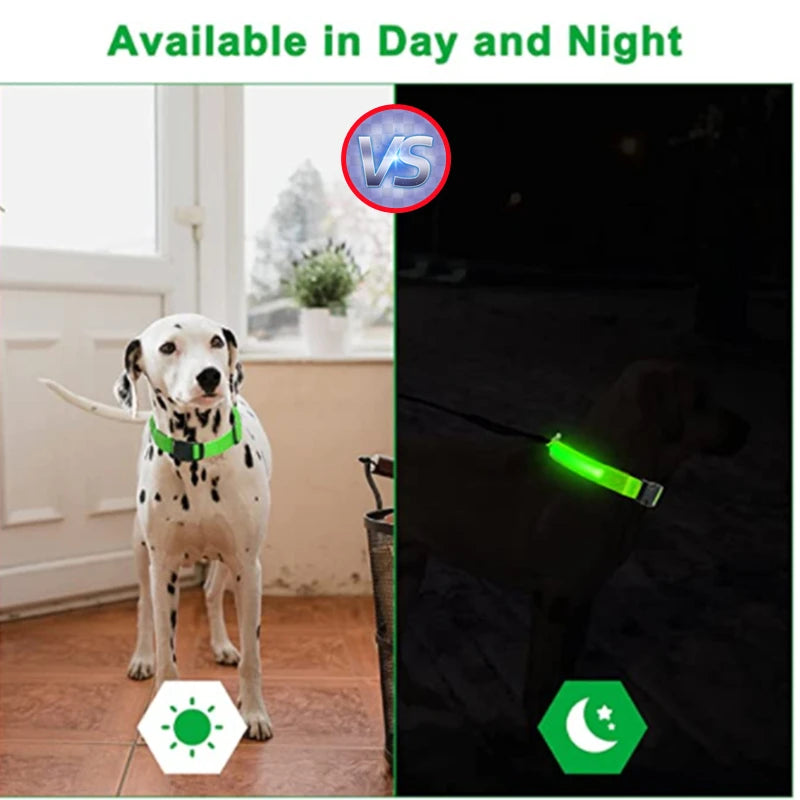 USB Rechargeable LED Dog Collar — Night Safety Glow