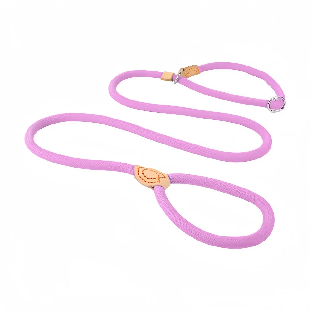 WizePet Heavy Duty Braided Slip Rope Dog Leash | Adjustable Training Lead & Collar for Medium & Large Dogs