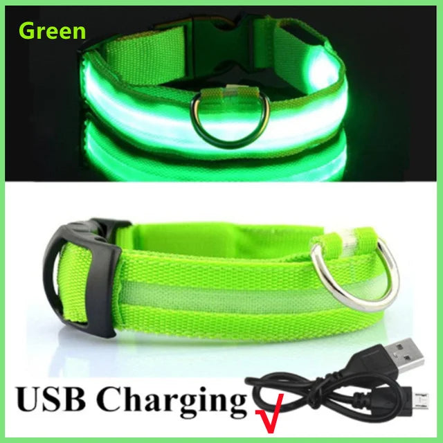 USB Rechargeable LED Dog Collar — Night Safety Glow