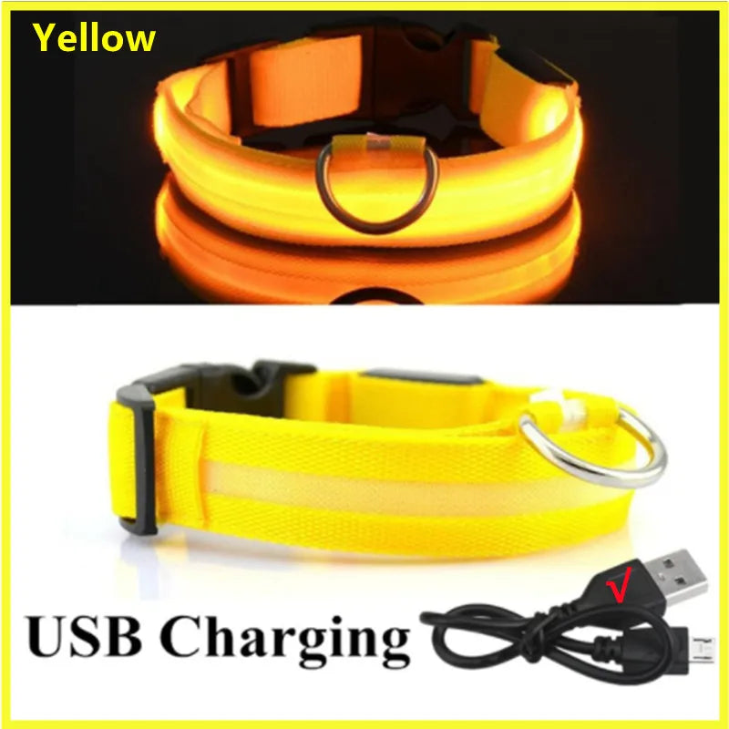 USB Rechargeable LED Dog Collar — Night Safety Glow