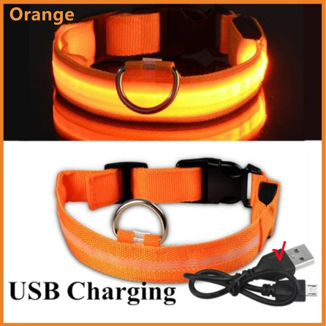 USB Rechargeable LED Dog Collar — Night Safety Glow