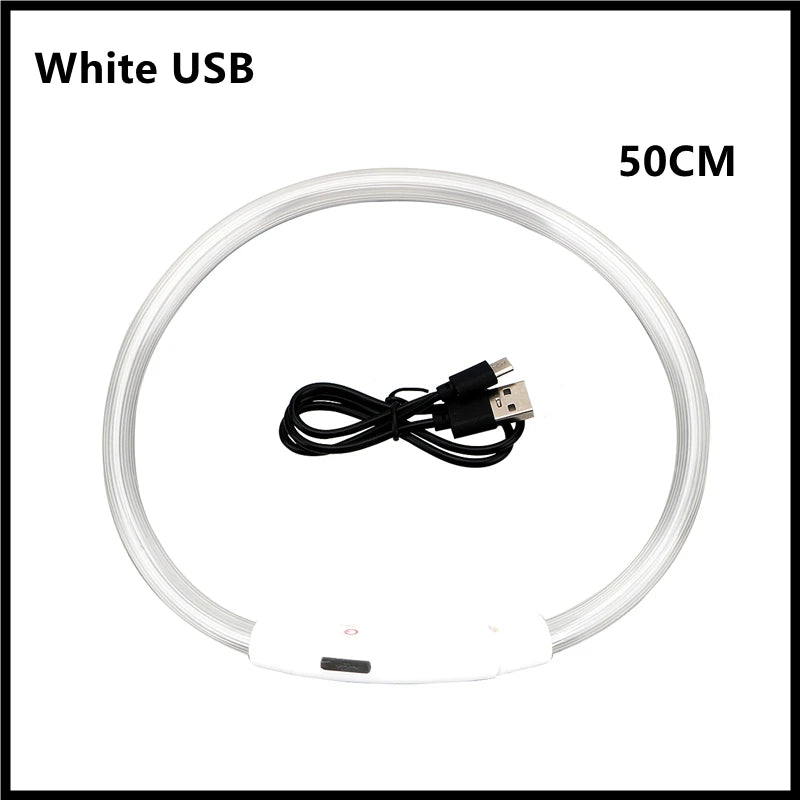 USB Rechargeable LED Dog Collar — Night Safety Glow