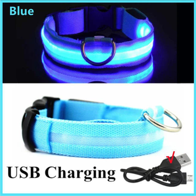 USB Rechargeable LED Dog Collar — Night Safety Glow