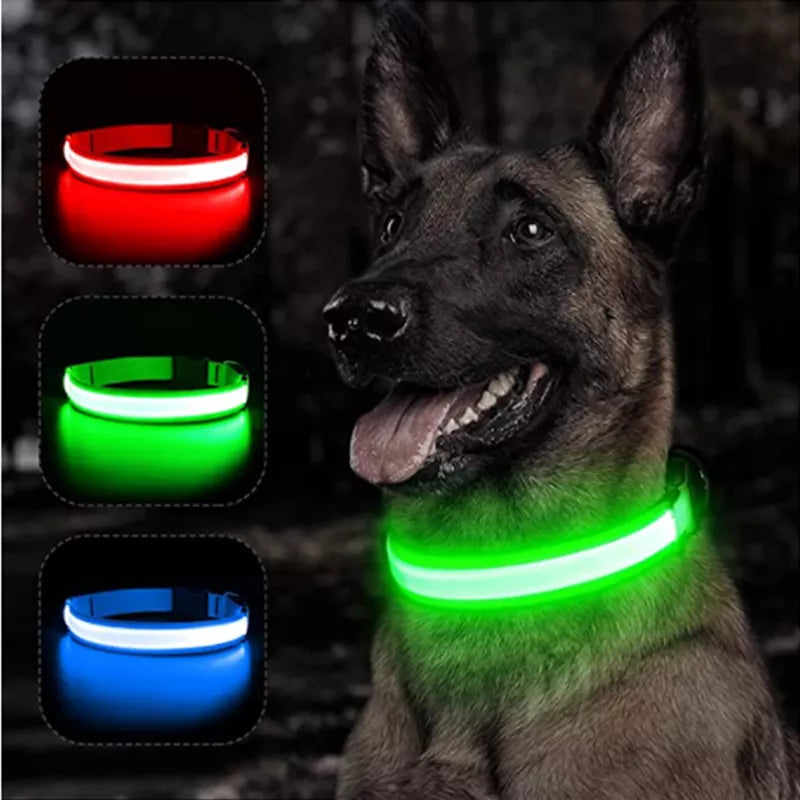 USB Rechargeable LED Dog Collar — Night Safety Glow