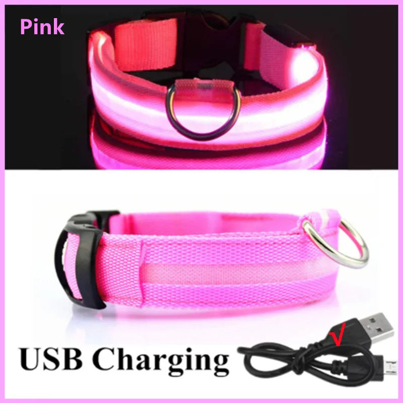 USB Rechargeable LED Dog Collar — Night Safety Glow