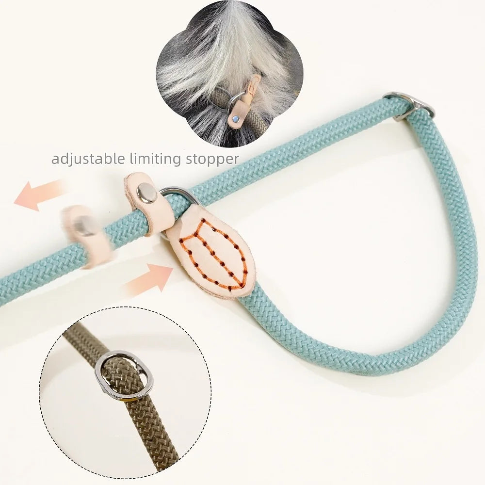 WizePet Heavy Duty Braided Slip Rope Dog Leash | Adjustable Training Lead & Collar for Medium & Large Dogs