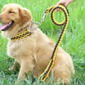 Heavy-Duty Double Strand Rope Leash & P Chain Collar Set