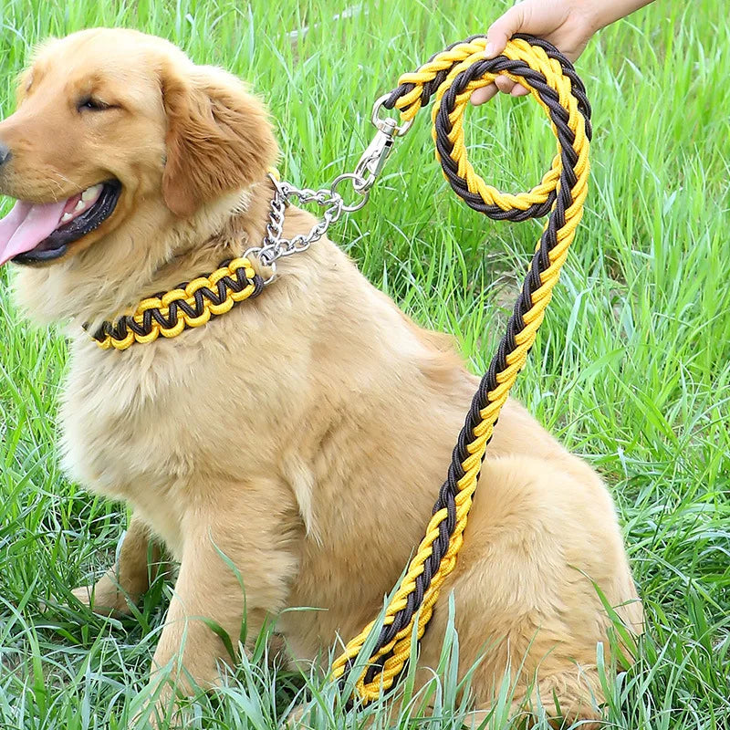 Heavy-Duty Double Strand Rope Leash & P Chain Collar Set