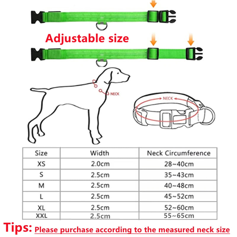 USB Rechargeable LED Dog Collar — Night Safety Glow