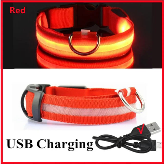 USB Rechargeable LED Dog Collar — Night Safety Glow